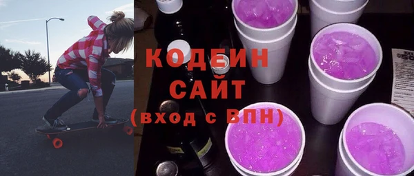 молекула духа Лабытнанги