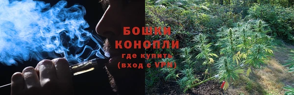 молекула духа Лабытнанги