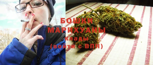 молекула духа Лабытнанги