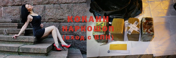индика Лихославль
