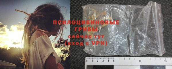 молекула духа Лабытнанги